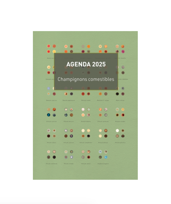 Agenda 2025 - Champignons comestibles