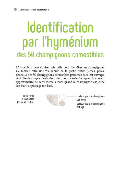 N°6    Ce champignon, est-il comestible ?