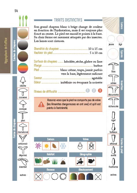 N°6    Ce champignon, est-il comestible ?