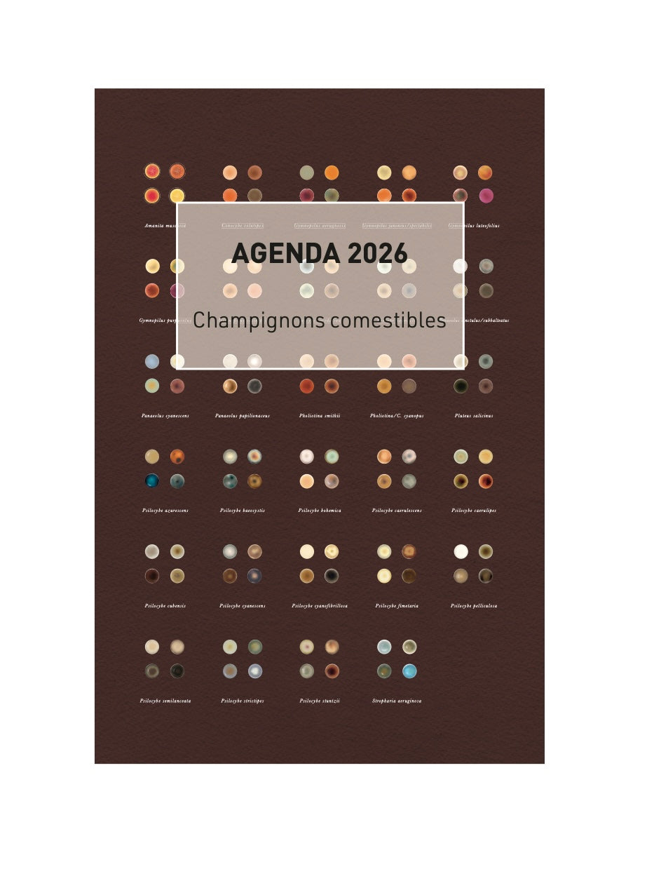 Nº0 Agenda 2026 - Champignons comestibles