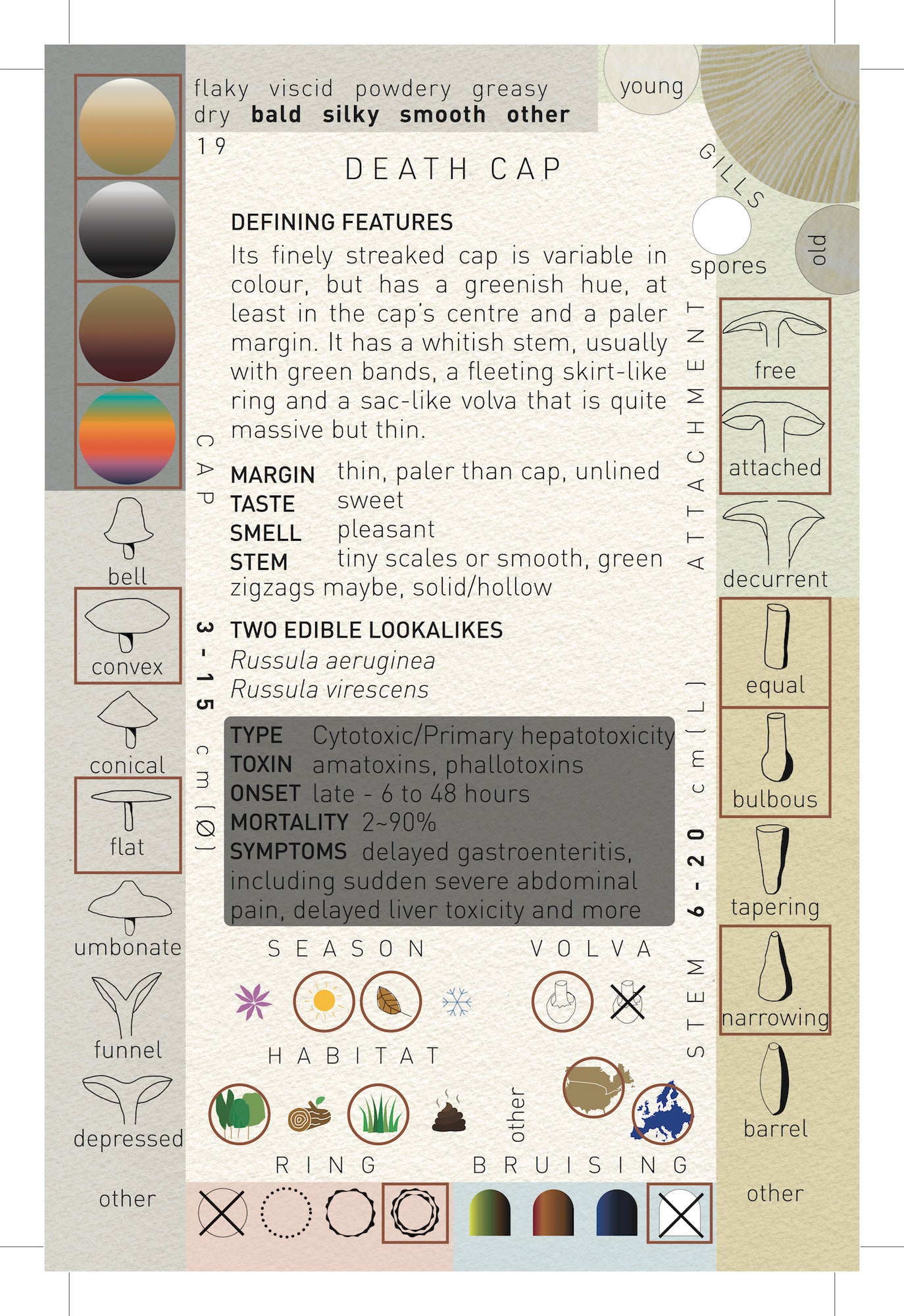 N°2 Mushroom Identification Deck 2: The Deadlies