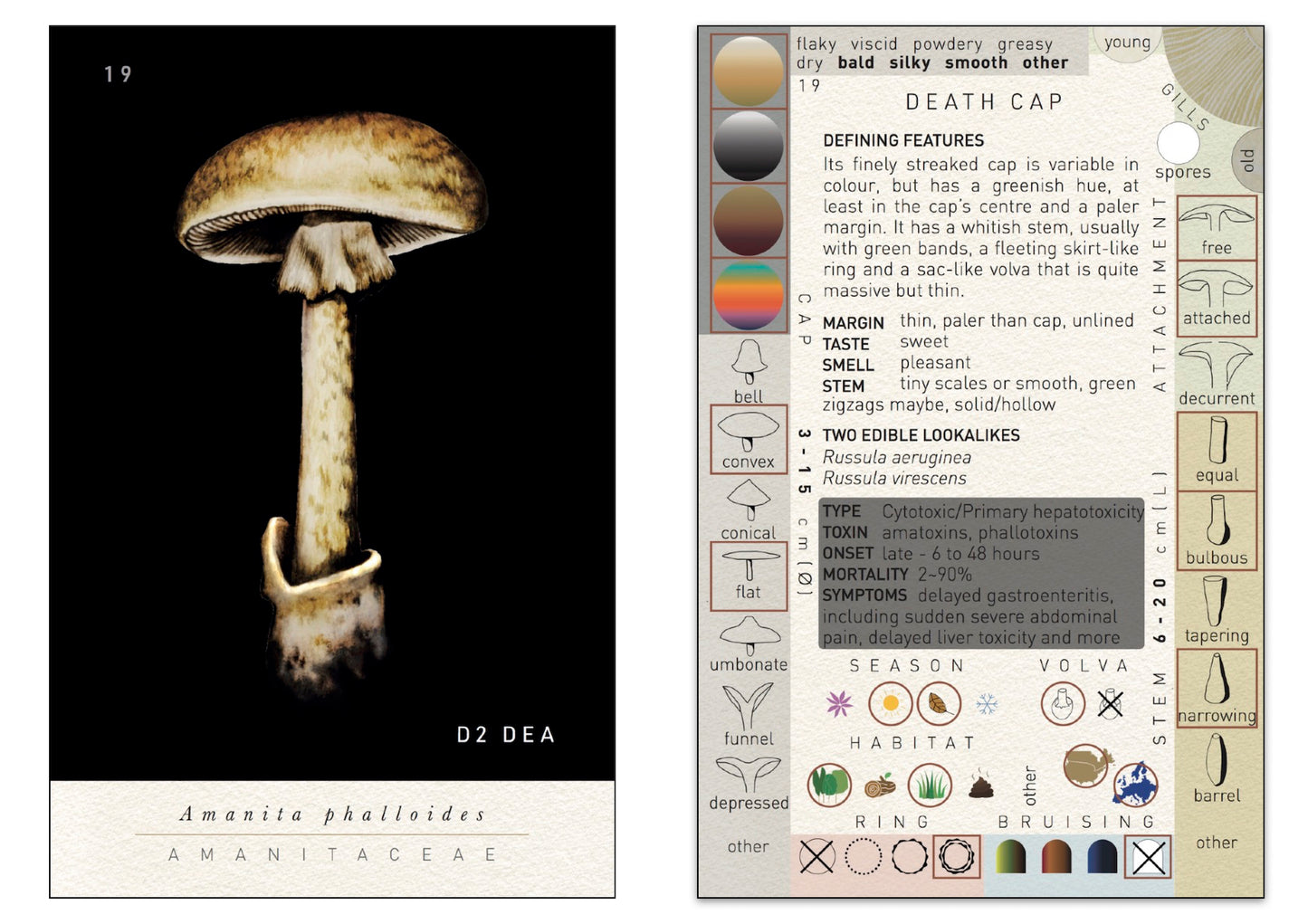 N°2 Mushroom Identification Deck 2: The Deadlies