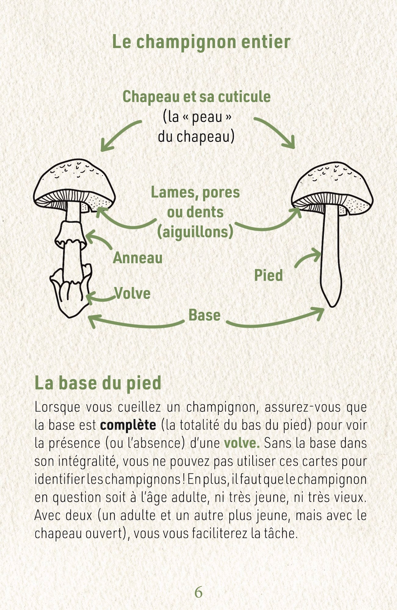 N°7 Identification des Champignons Collection II : Les Mortels FRENCH EDITION