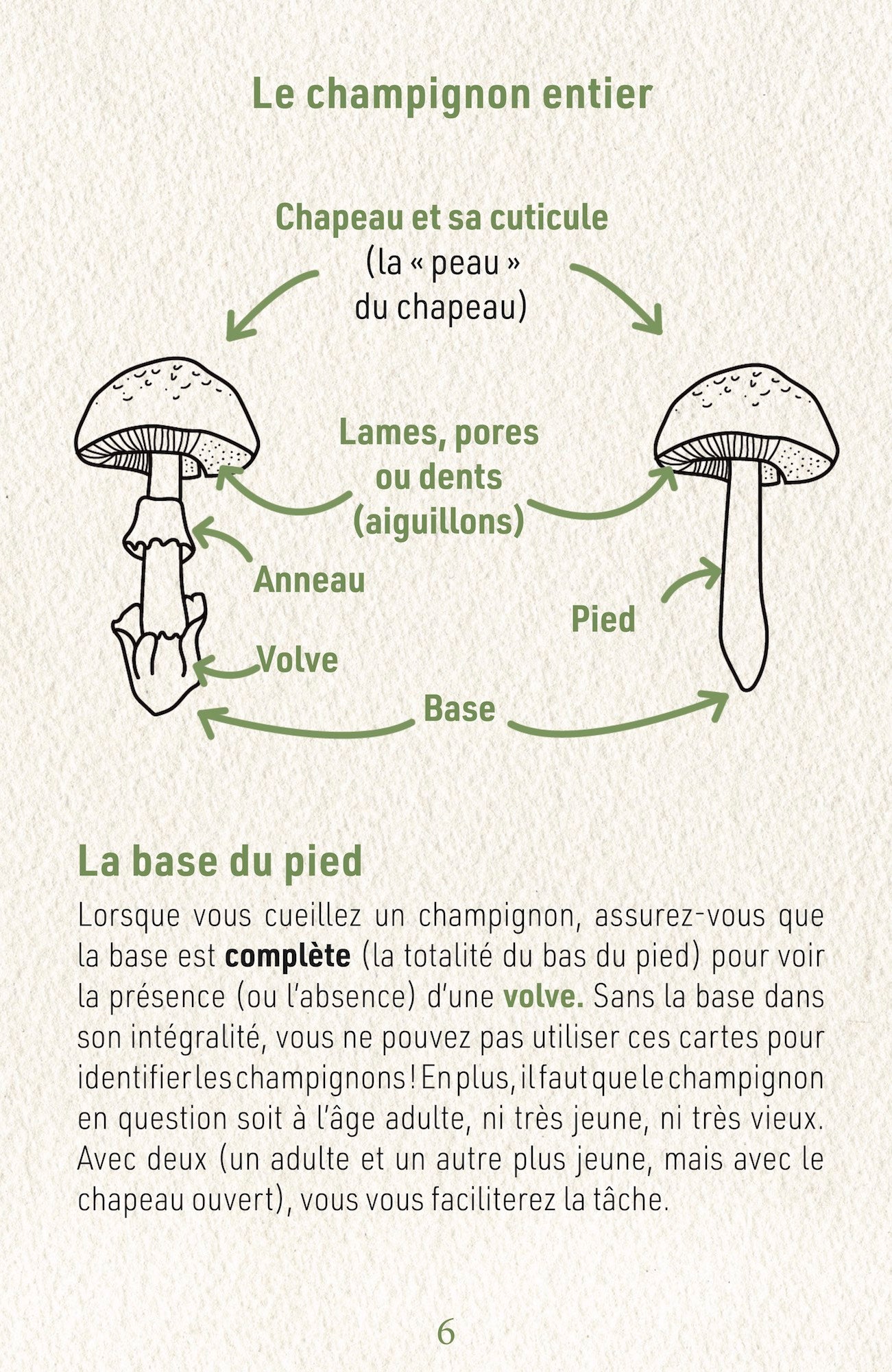 N°7    Identification des Champignons Collection II : Les Mortels FRENCH EDITION