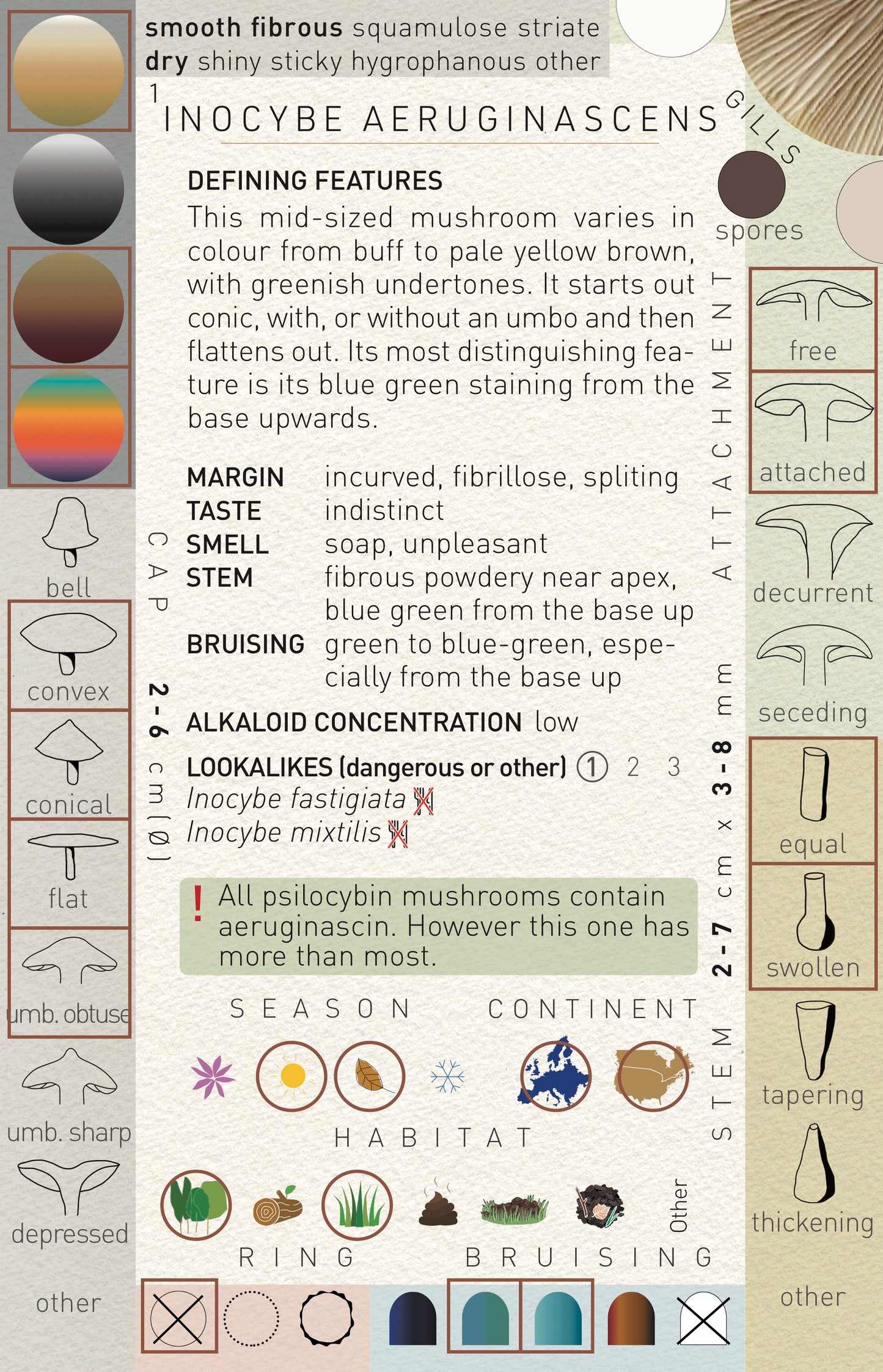 N°3    Mushroom Identification Deck 3: The Wild Ones