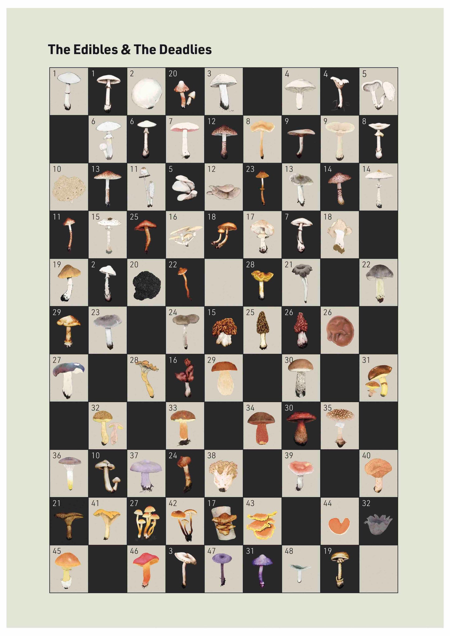 N°4 Mushroom Identification: The Twins Book