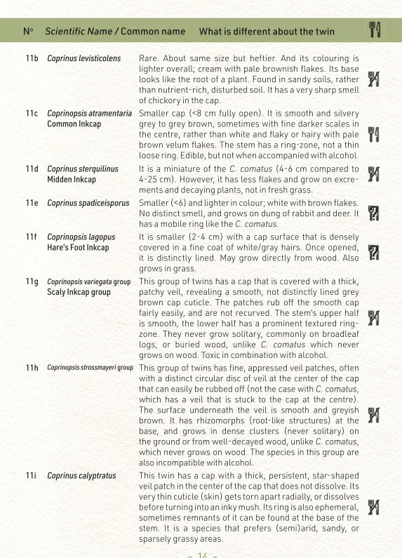 N°1 Mushroom Identification Deck 1: The Edibles