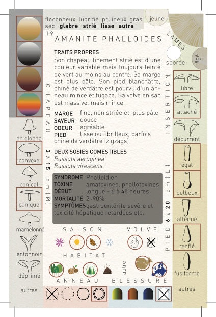 N°7 Identification des Champignons Collection II : Les Mortels FRENCH EDITION