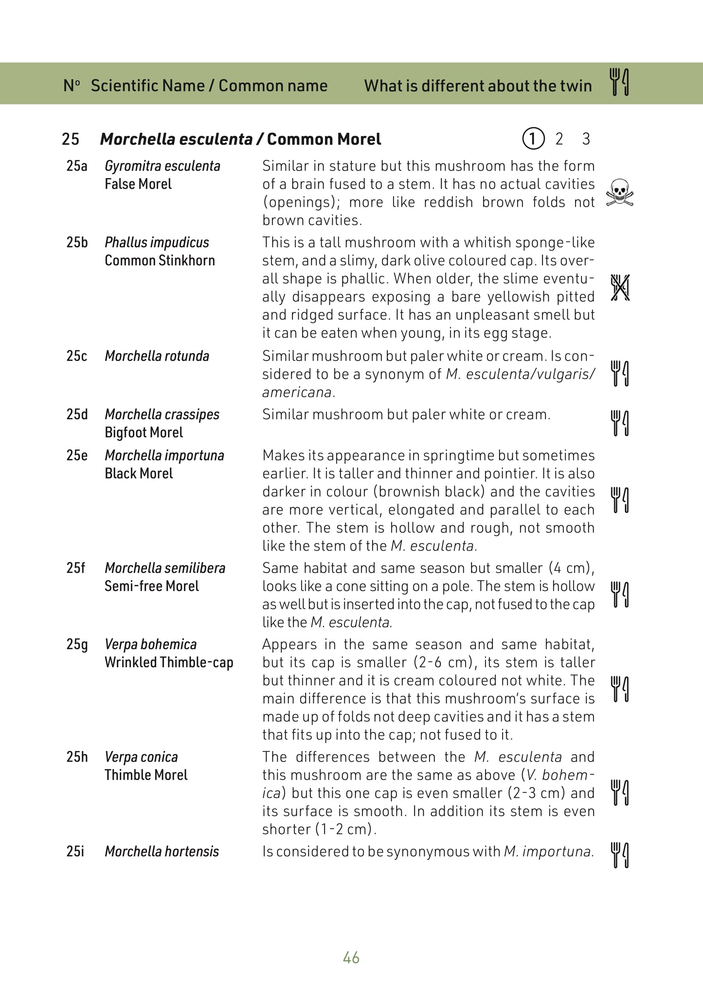 N°4 Mushroom Identification: The Twins Book