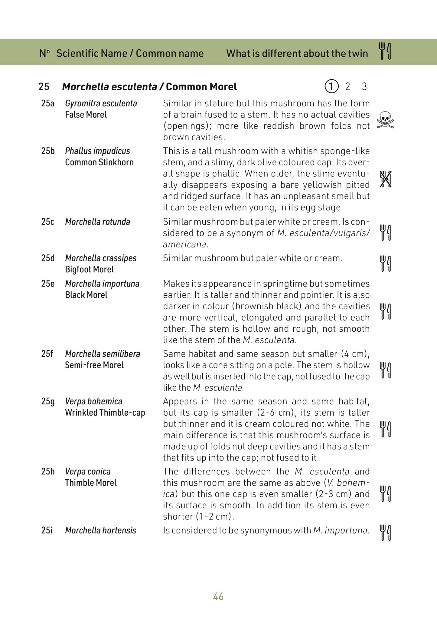 N°4  Mushroom Identification: The Twins Book