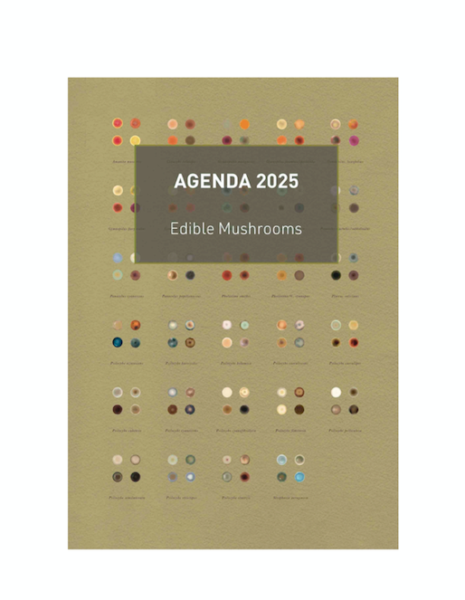 N°0 Agenda 2025 - Edible Mushrooms