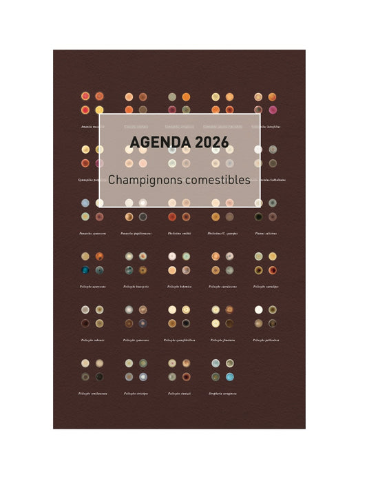 Nº0 Agenda 2026 - Champignons comestibles