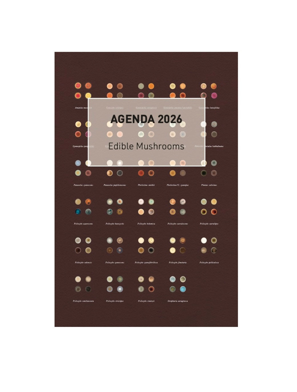 Nº0 Agenda 2026 - Edible Mushrooms