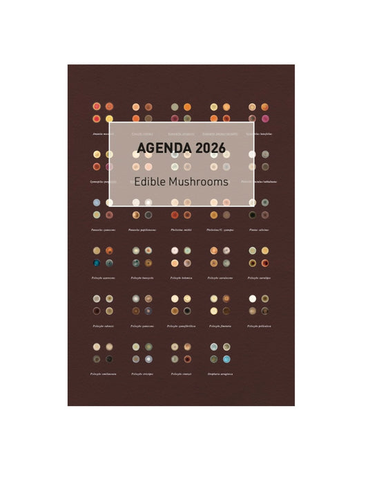 Nº0 Agenda 2026 - Edible Mushrooms